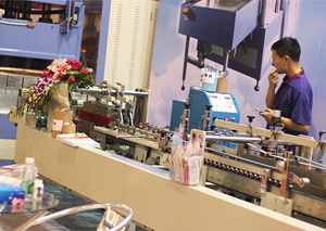 深圳成林風(fēng)采（一）