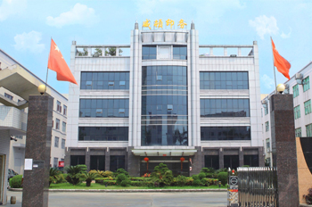 廣州威頓膠盒印刷合作案例